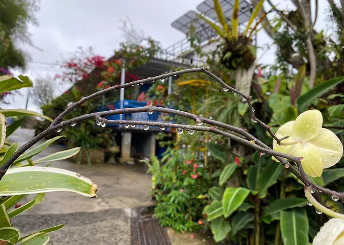 Rumah Container